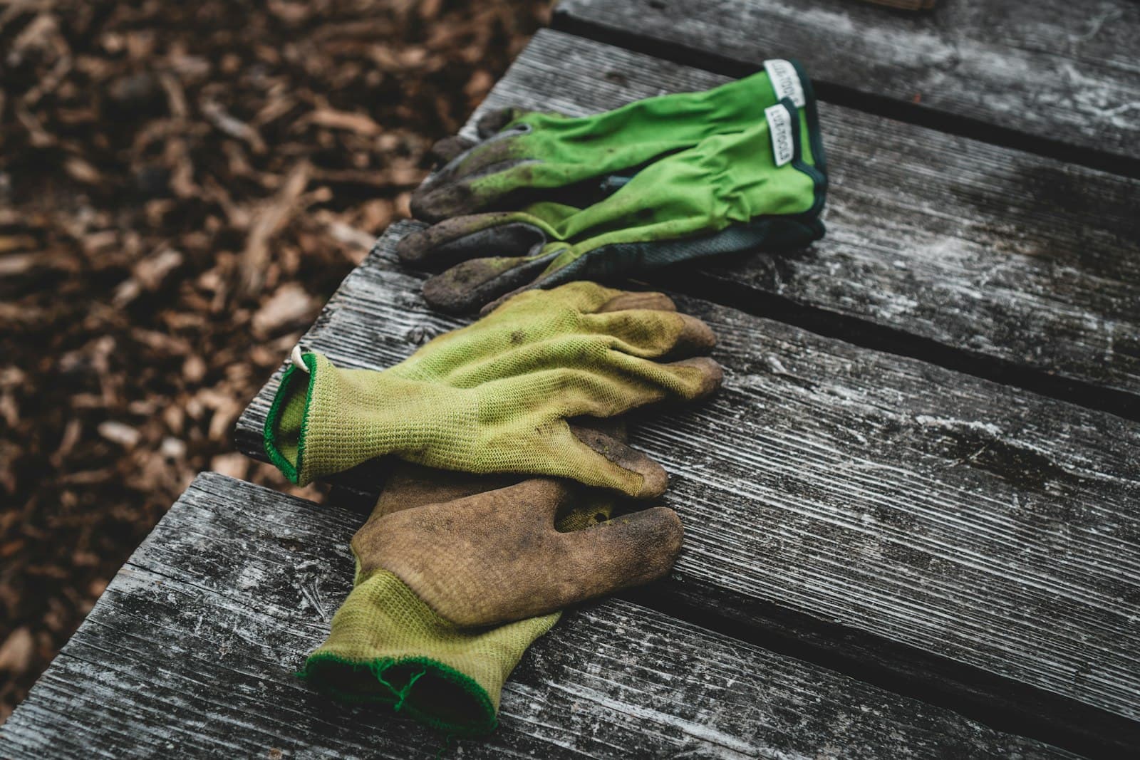 Well-worn gardening gloves on weathered boards